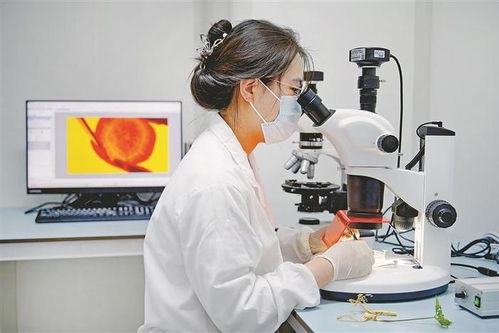 從煤灰漫天到金山疊翠 賈汪七獲優秀背后的生物產品研發轉型密碼